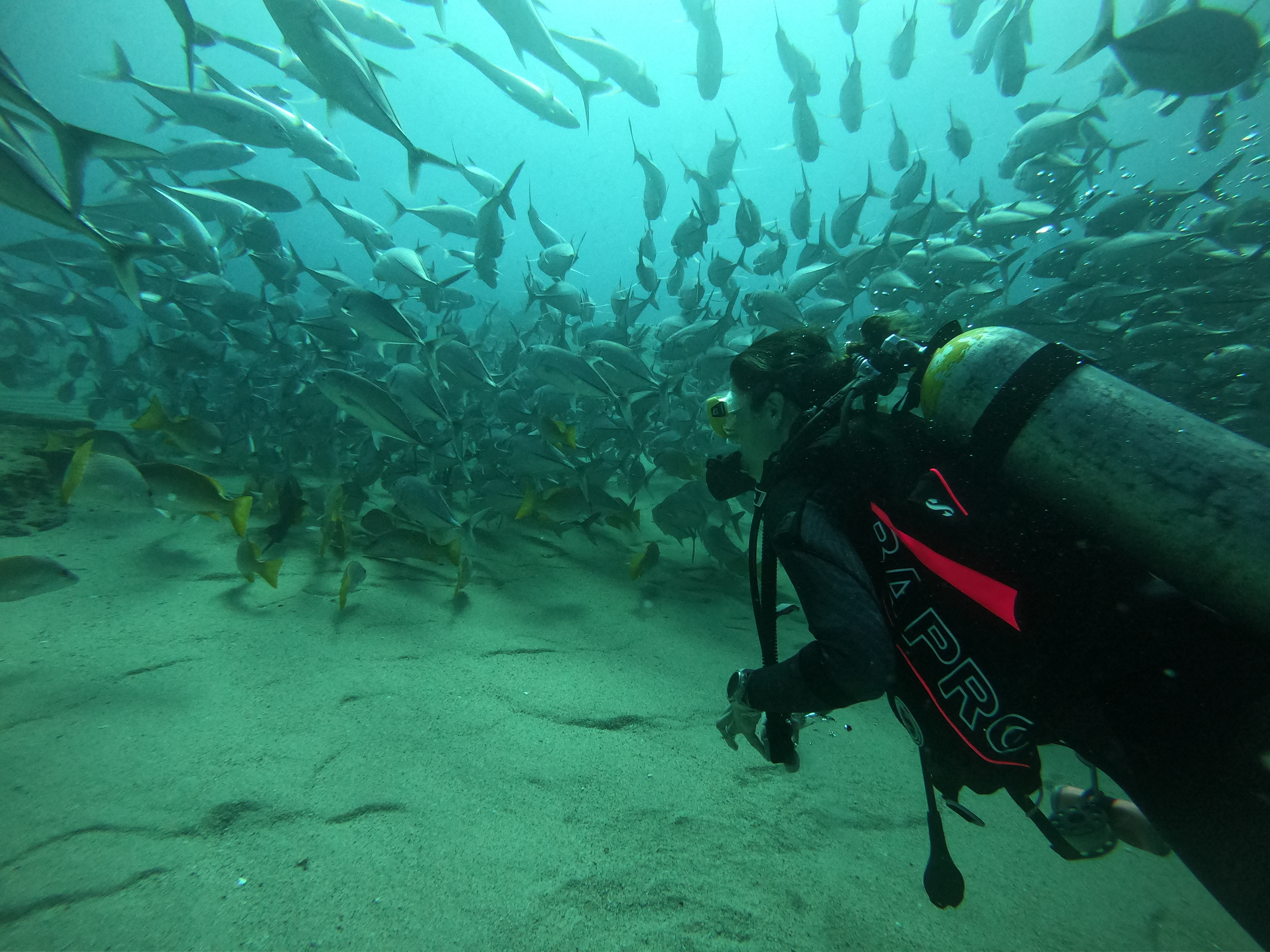 Underwater photo example
