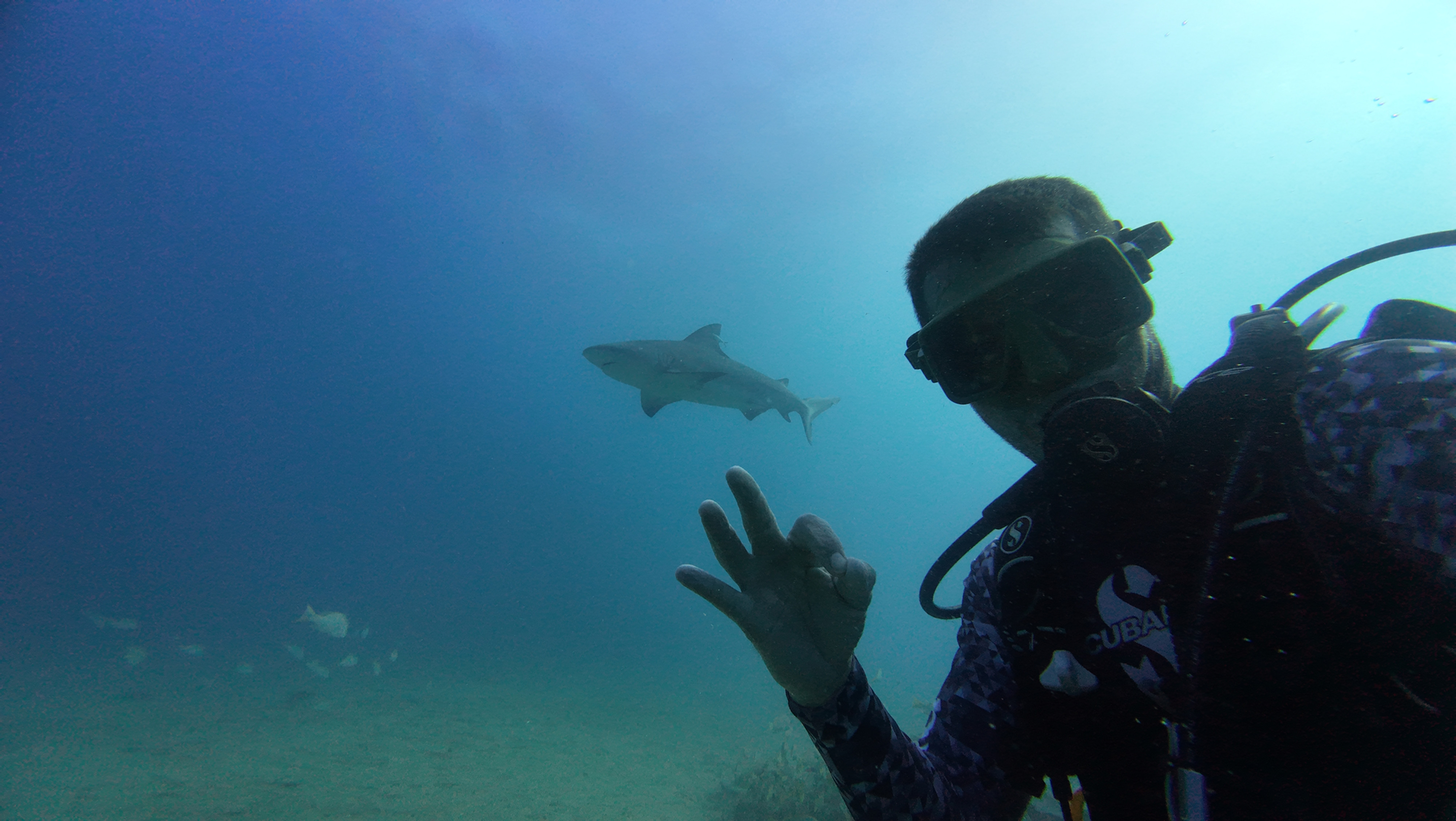 Underwater photo example